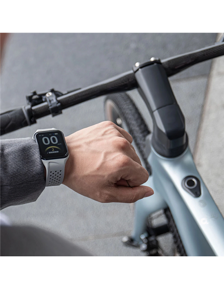 Bicicletă Electrică Fiido AIR, Argintiu