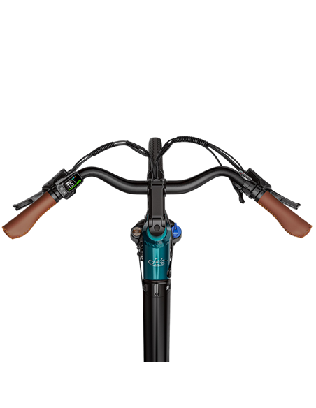 Bicicletă Electrică Fiido C11 Pro, Verde