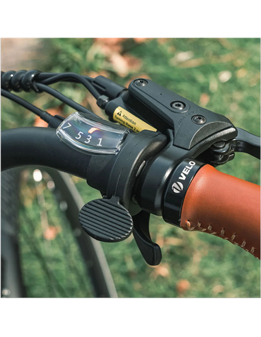 Bicicletă Electrică Fiido C11 Pro, Verde