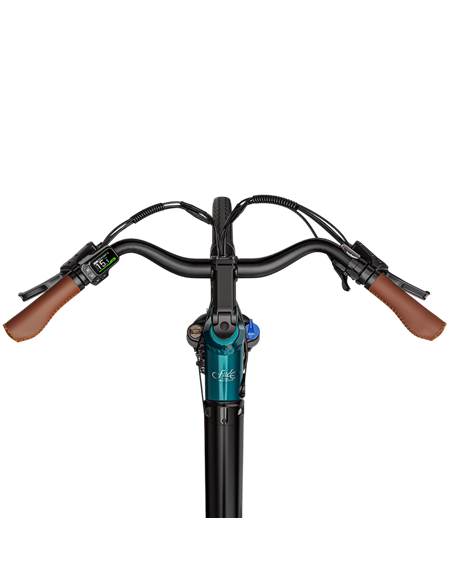Bicicletă Electrică Fiido C11 Pro, Verde