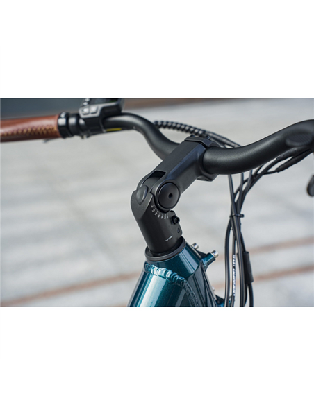 Bicicletă Electrică Fiido C11 Pro, Verde