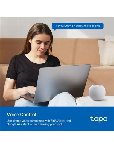 Умная мини розетка с мониторингом энергопотребления Tp-Link Tapo P110M / 16A / 3680W