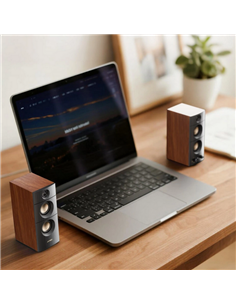 Sistem audio 2.0 CH F&D R330BT, Negru | Maro 2