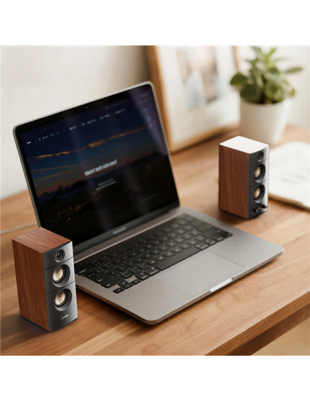 Sistem audio 2.0 CH F&D R330BT, Negru | Maro