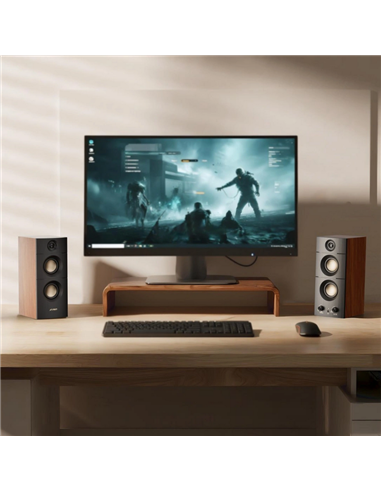 Аудиосистема 2.0 CH F&D R330BT, Черный | Коричневый