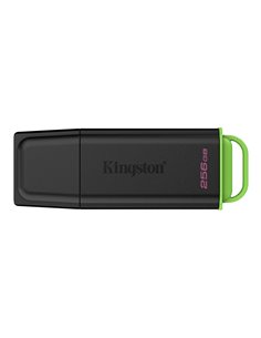 Флеш-накопитель USB Kingston DataTraveler Exodia / 256ГБ / 100 MByte/s