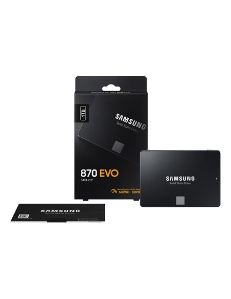 2.5” SSD 1.0TB  Samsung SSD 870 EVO, SATAIII, Sequential Reads: 560 MB/s, Sequential Writes: 530 MB/s, Max Random 4k: Read: 9...
