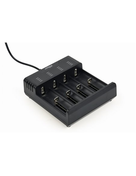 Incarcator rapid de baterii Ni-MH + Li-ion EnerGenie BC-USB-02