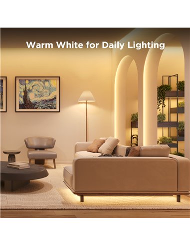 Светодиодная лента GOVEE RGBIC S LED / 10m / Multicolor / Wi-Fi / Bluetooth