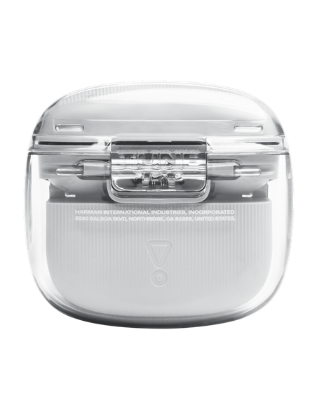 Наушники JBL Tune Flex 2 Ghost, Белый