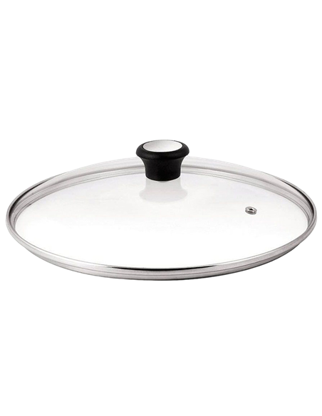 Capac Tefal 28097512, 24cm, Transparent