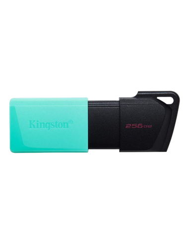 USB Flash накопитель Kingston DataTraveler Exodia M, 256Гб, Черный/Синий