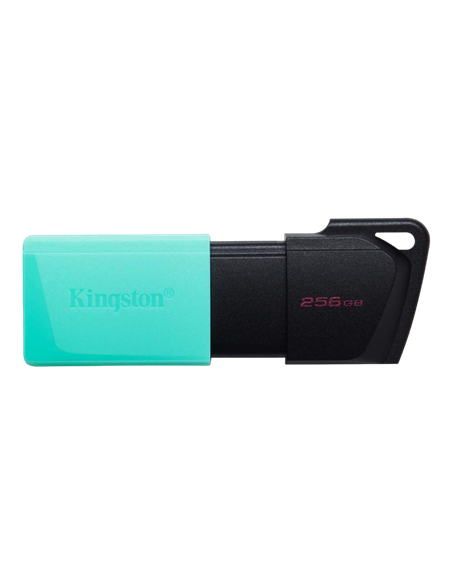 USB Flash накопитель Kingston DataTraveler Exodia M, 256Гб, Черный/Синий