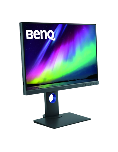 24,1" Монитор BenQ SW240, IPS 1920x1200 WUXGA, Серый