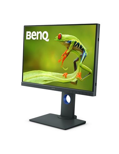 24,1" Монитор BenQ SW240, IPS 1920x1200 WUXGA, Серый