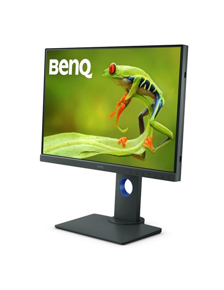 24,1" Монитор BenQ SW240, IPS 1920x1200 WUXGA, Серый