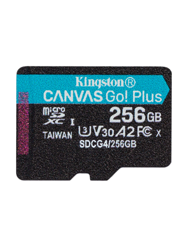 Карта памяти Kingston Canvas Go! Plus, 256Гб (SDCG4/256GB)