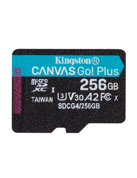 Карта памяти Kingston Canvas Go! Plus, 256Гб (SDCG4/256GB)