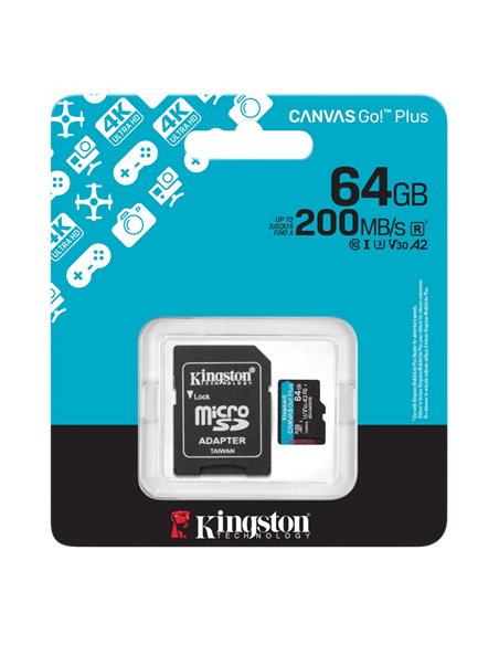 Карта памяти Kingston Canvas Go! Plus, 256Гб (SDCG4/256GB)