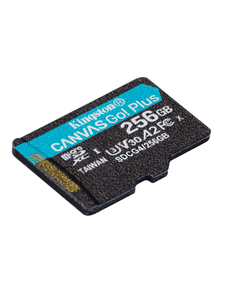 Карта памяти Kingston Canvas Go! Plus, 256Гб (SDCG4/256GB)