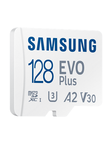 Карта памяти Kingston Canvas Go! Plus, 256Гб (SDCG4/256GB)