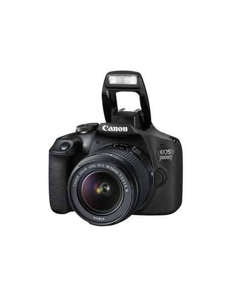 Aparat foto DSLR Canon EOS 2000D & EF-S 18-55mm f/3.5-5.6 DC III KIT