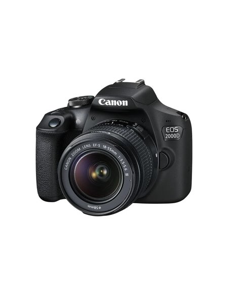 Зеркальный фотоаппарат Canon EOS 2000D & EF-S 18-55mm f/3.5-5.6 DC III KIT