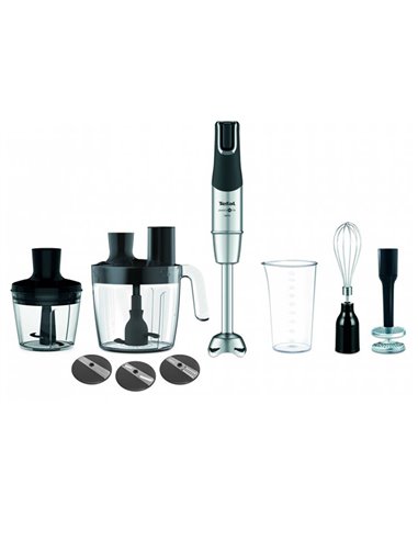 Погружной блендер Tefal HB95LD38, Серебристо-Черный