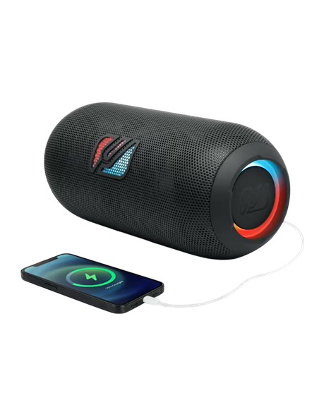 Портативная колонка MUSE M-950 BT, Чёрный