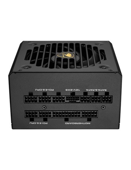Sursă Alimentare PC Cougar Power GEX PRO 850, 850W, ATX, Complet modular