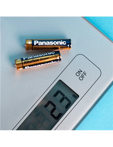 Батарейки Panasonic LR6REE, AA, 4шт.