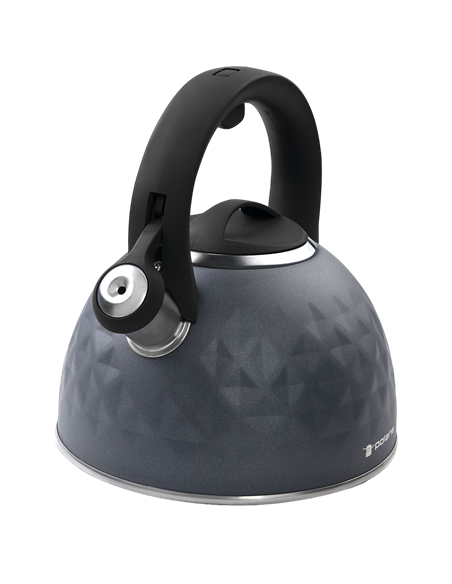 Ceainic Polaris Kontur, 3L, Gri