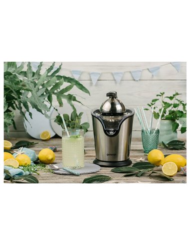 Соковыжималка для цитрусовых Gorenje Citruseta CJ100HE, Нержавеющая сталь