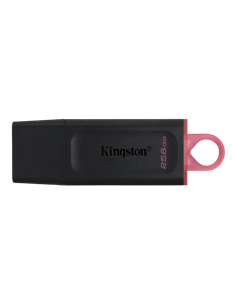 USB Flash накопитель Kingston DataTraveler Exodia, 256Гб, Чёрный