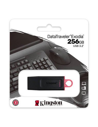 USB Flash накопитель Kingston DataTraveler Exodia, 256Гб, Чёрный