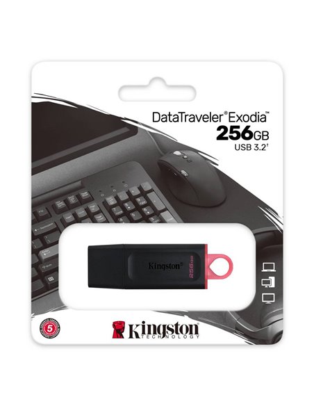 USB Flash накопитель Kingston DataTraveler Exodia, 256Гб, Чёрный