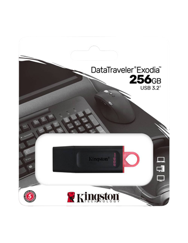 USB Flash накопитель Kingston DataTraveler Exodia, 256Гб, Чёрный