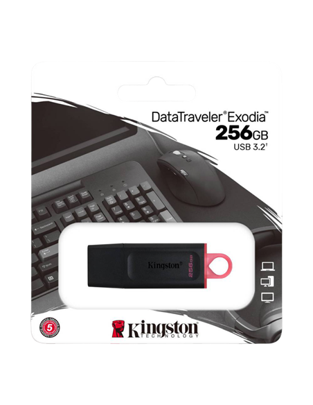 USB Flash накопитель Kingston DataTraveler Exodia, 256Гб, Чёрный