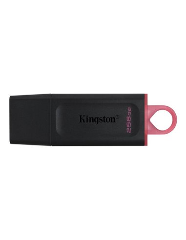 USB Flash накопитель Kingston DataTraveler Exodia, 256Гб, Чёрный