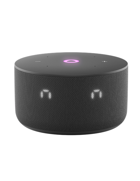 Difuzor Inteligent Yandex Station Mini 3, Negru