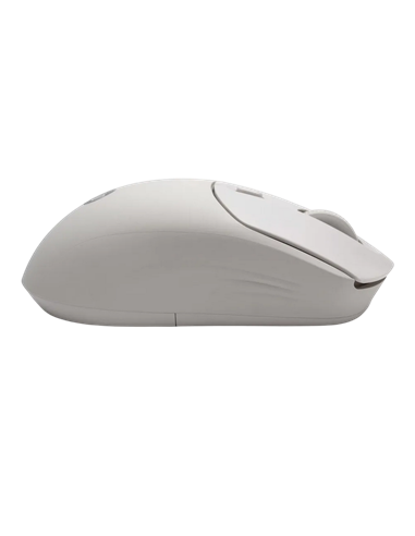 Mouse HP 400 Quiet, Maple