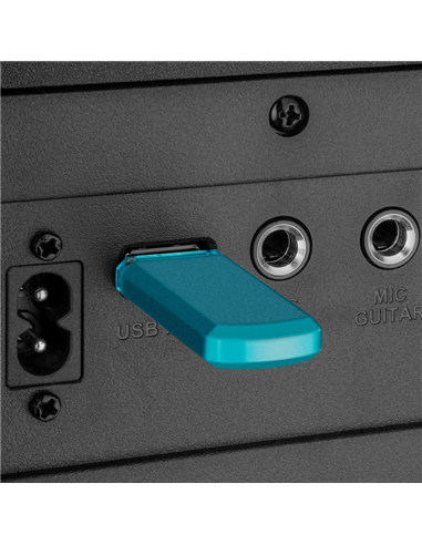 Sistem audio SVEN PS-1000, Negru