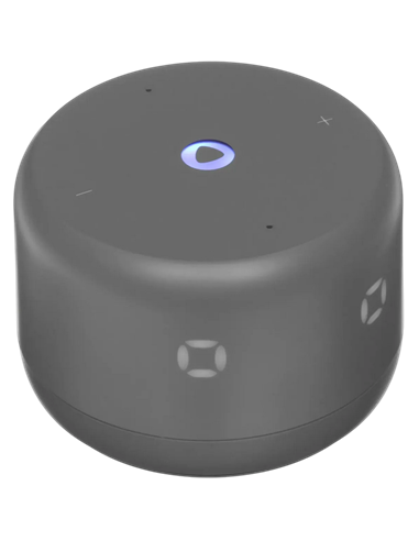 Difuzor Inteligent Yandex Station Light 2 YNDX-00026GRY, Grafit