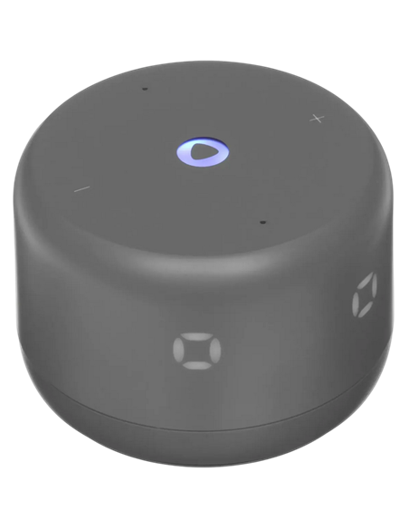 Difuzor Inteligent Yandex Station Light 2 YNDX-00026GRY, Grafit