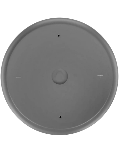 Difuzor Inteligent Yandex Station Light 2 YNDX-00026GRY, Grafit