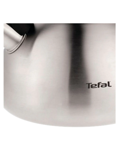Ceainic Tefal N4180217, 2,5L, Oțel inoxidabil