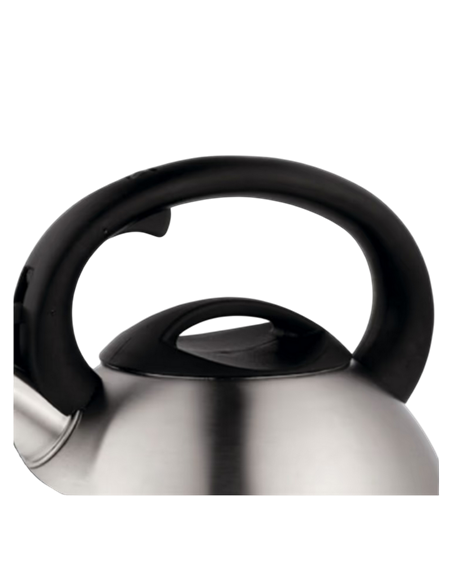 Ceainic Tefal N4180217, 2,5L, Oțel inoxidabil