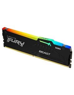 Оперативная память Kingston FURY Beast RGB, DDR5 SDRAM, 5600 МГц, 32 ГБ, KF560C36BBEA-32