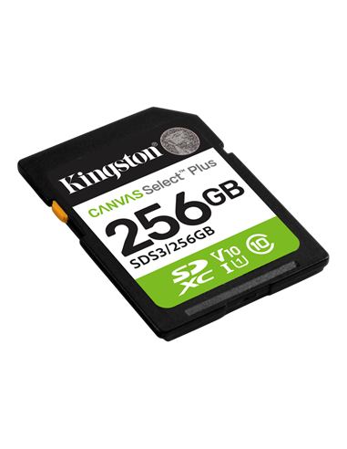 Карта памяти Kingston Canvas Select Plus, 256Гб (SDS3/256GB)