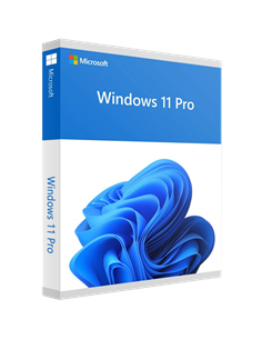 Операционная система Windows 11 Pro 64Bit Eng Intl 1pk DSP OEI DVD 2